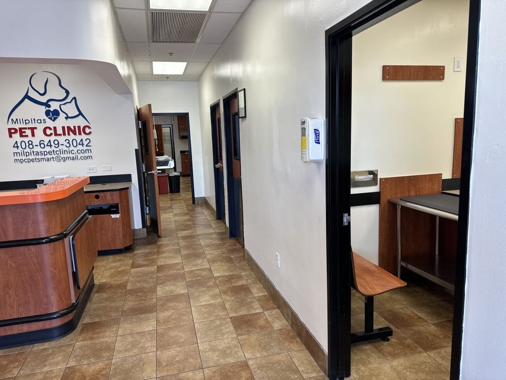 Interior Hallway of Milpitas Pet Clinic - Milpitas Pet Clinic The interior hallway of Milpitas Pet Clinic, featuring tiled floors, exam room doors, and a reception area with the clinic logo on the wall - Milpitas Pet Clinic